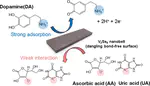 Vanadium Selenide Nanobelt Electrocatalyst for Dopamine-Selective Detection