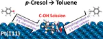 Mechanism of Dehydration of Phenols on Noble Metals via First-Principles Microkinetic Modeling