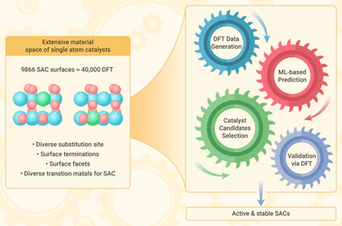 Machine learning-enabled fast exploration of stable and active single-atom catalysts for oxygen evolution reaction