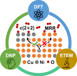 Cu–Ni Oxidation Mechanism Unveiled: A Machine Learning-Accelerated First-Principles and in Situ TEM Study