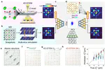 Imaging 3D polarization dynamics via deep learning 4D-STEM