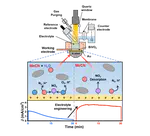 Electrolyte-Engineered Photoelectrochemical Ammonia Oxidation Enabling Sustainable Hydrogen Production via Catalyst Regeneration