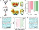 Amorphous π-Conjugated Passivator Facilitates Widening Process Window for Reliable Perovskite Solar Modules