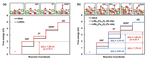 Rational Design of LiNi1-xFexO2 Electrodes for Enhanced Oxygen Evolution Reaction Under Power-Fluctuating Operations in Alkaline Water Electrolysis