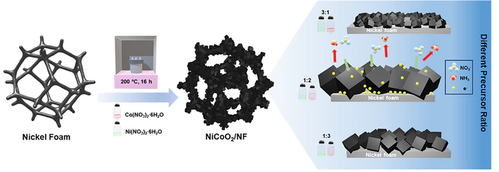 Composition-Dependent Microcube NiCoO2 Binder-Free Electrode with Enhanced Diffusion for Efficient Electrochemical Nitrate Reduction to Ammonia