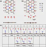 Understanding Potential-dependent Competition Between Electrocatalytic Dinitrogen and Proton Reduction Reactions