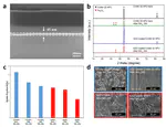 Elucidating Conductivity and Nitriding Resiliency in (Al/H)-ZnO Coatings for NH3-Fueled SOFC Separators via SEM-EDX and MLP-DFT Protocols