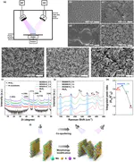 Enhanced Hydrogen Evolution Reaction Performance of Ni-Doped MoS2 with 1T Structure for Alkaline Water Electrolyzer: Introduction of 1T Phase and Morphological Optimization Through Co-Sputtering Technique